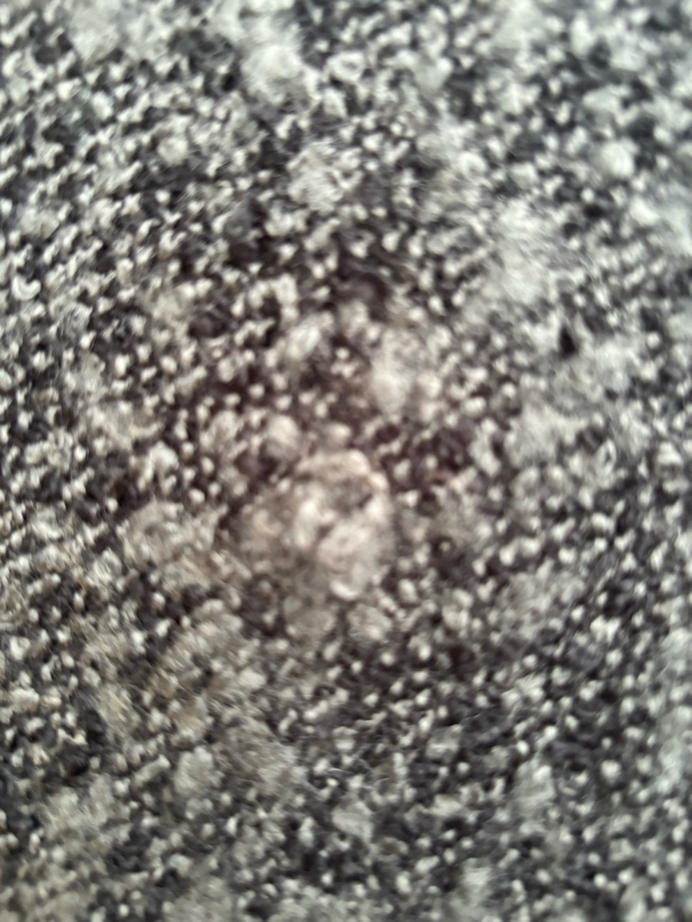 RW & Co. Cozy Grey & Black Knit Fringe Scarf - Picture 3 of 3